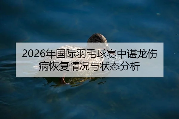 2026年国际羽毛球赛中谌龙伤病恢复情况与状态分析