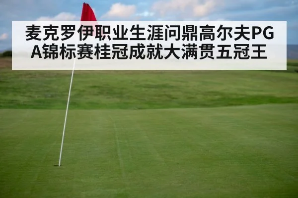 麦克罗伊职业生涯问鼎高尔夫PGA锦标赛桂冠成就大满贯五冠王