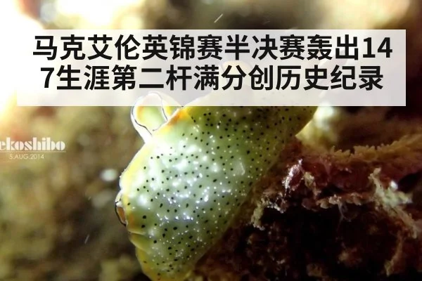马克艾伦英锦赛半决赛轰出147生涯第二杆满分创历史纪录