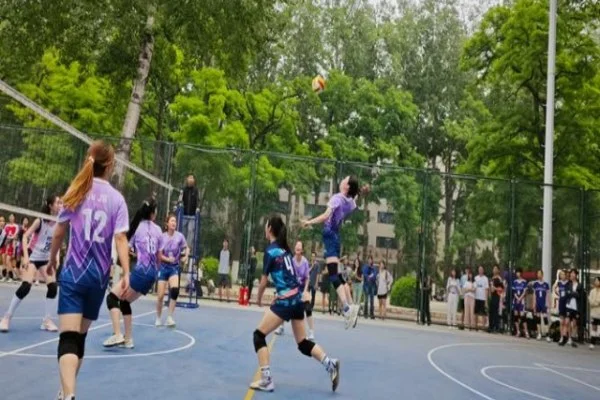WNBA季后赛拉斯维加斯王牌阿贾威尔逊卫冕之路关键变量与前景分析